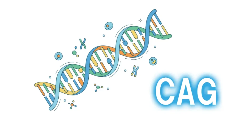 CAGリピートが原因で神経細胞にダメージを与える異常タンパク質が作られる