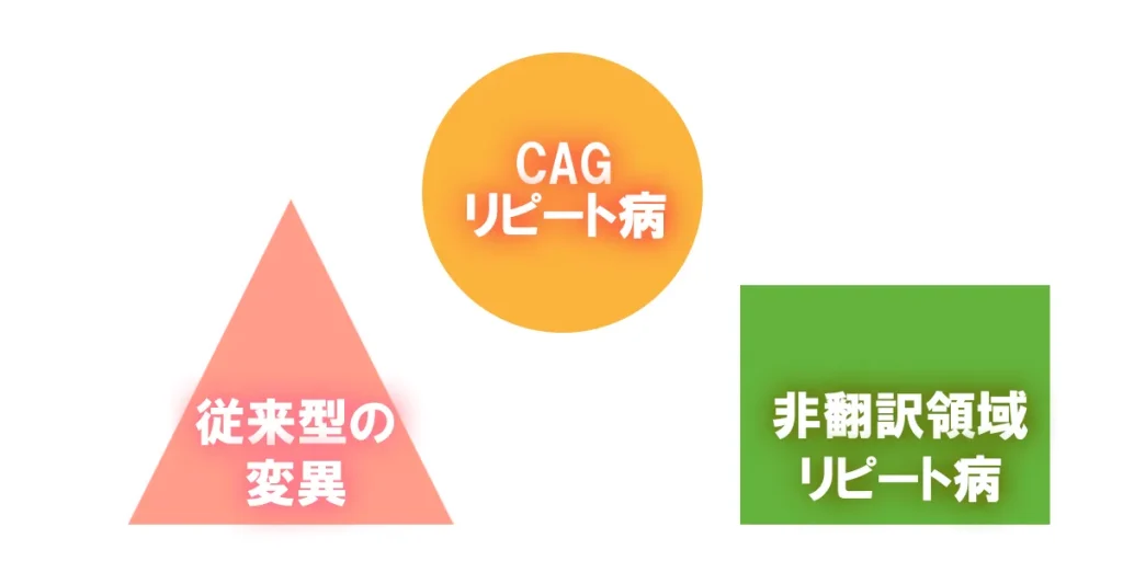 SCAは遺伝子のどのような変異かで3つの分類に分けられる